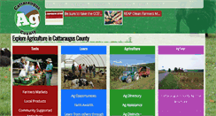 Desktop Screenshot of ccaghelp.com