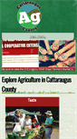 Mobile Screenshot of ccaghelp.com