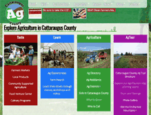Tablet Screenshot of ccaghelp.com
